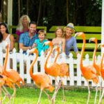 Happy tourists using Donika Transportation Bahamas service