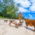 Private island tour in the Bahamas with Donika Transportation