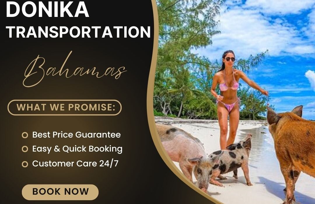 Explore Nassau in Comfort with Donika Transportation Bahamas